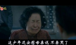 电影母亲在线观看,感人至深的亲情故事回顾