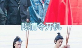 辛巴评论区爆料视频是真的吗,辛巴评论区爆料视频真实性揭秘