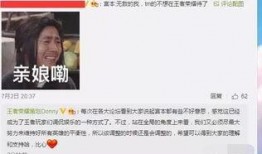 爆料之王王逸简介视频,揭秘其传奇经历与影响力