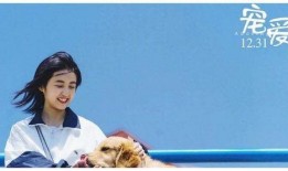 圈内爆料郭麒麟张子枫,娱乐圈新CP引热议