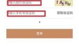 爆料明星素材网站大全最新,最新明星素材网站大全大揭秘