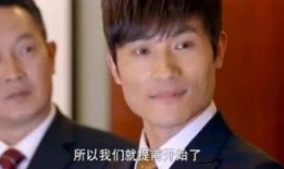 爆料剧情视频大全集,揭秘热门剧集幕后真相