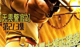 无畏警官2在线观看,在线观影指南：揭秘警界英雄的惊险续集