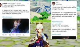 外网原神雷神爆料视频,外网爆料视频深度解析