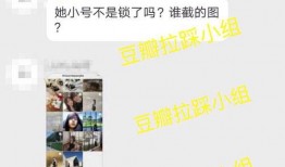 陈飞爆料视频大全最新版,热点事件背后的真相