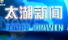 太湖新闻爆料视频大全,聚焦热点，解码民生