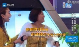 狗仔爆料陈赫视频大全最新,狗仔爆料背后的真相揭秘