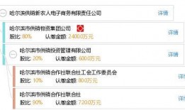 哈尔滨农人爆料视频,揭秘农村生活现状与挑战