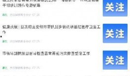 扶绥新闻爆料网站大全,一站式获取本地资讯平台汇总