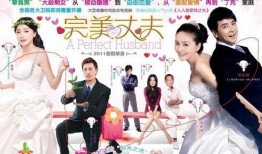 完美丈夫在线观看,在线观看，揭秘理想伴侣的完美生活