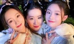 刘一飞爆料陈建斌视频,真相背后引人深思