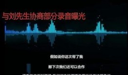 最新录音爆料内容,最新事件内幕大曝光