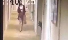 石家庄饭店爆料事件视频