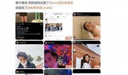 娱乐爆料创造营在线观看,娱乐爆料，精彩瞬间在线观看，青春追梦之旅即将开启！