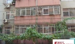 石家庄租房最新爆料,揭秘热门区域价格走势与热门房源推荐