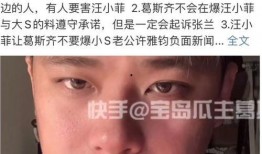 葛斯齐爆料汪小菲视频,引发网友热议