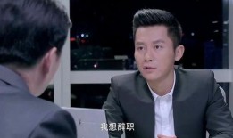 爱情CEO在线观看,揭秘现代都市爱情博弈的职场秘籍