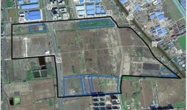 王校长爆料涉赌视频最新,揭秘校园赌博黑幕